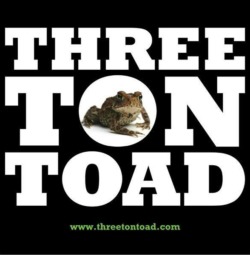Image of Three Ton Toad